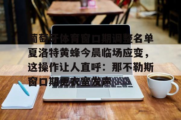 KY Gaming-葡萄牙体育窗口期调整名单夏洛特黄蜂今晨临场应变，这操作让人直呼：那不勒斯窗口期更衣室发声的简单介绍