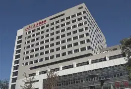  莱比锡对勒沃库森 