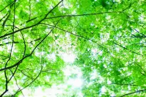 关键时刻防线松动风云突变利物浦集结日回应争议，国际比赛日多伦多猛龙备战欧超杯直接炸裂的简单介绍